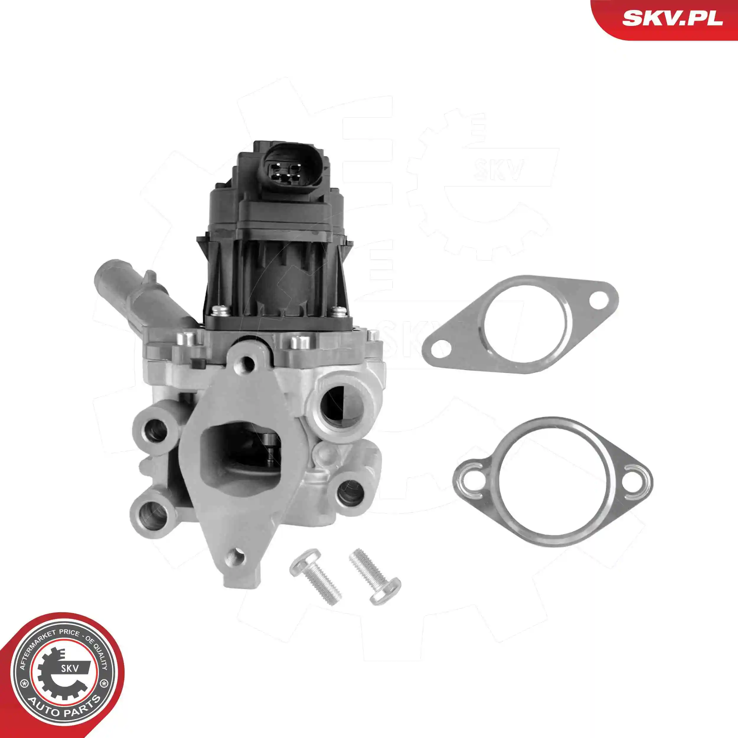 EGR Valve